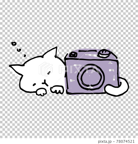 眠っている猫とカメラのイラスト 眠っている猫とカメラのイラスト 78074521