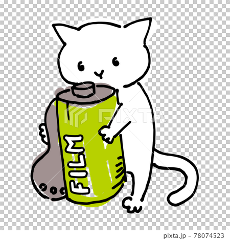 カメラのフィルムを持っている猫 カメラのフィルムを持っている猫 78074523