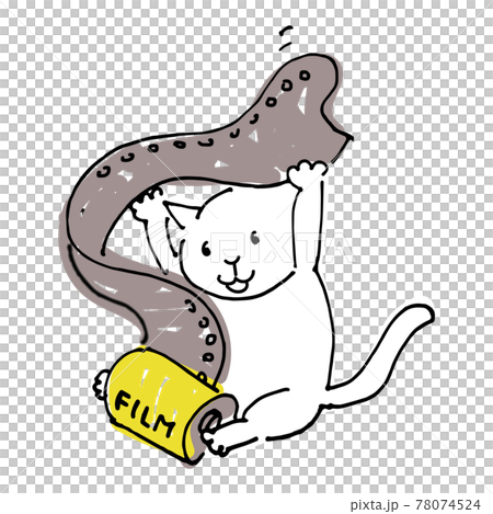 カメラのフィルムでじゃれる猫 78074524