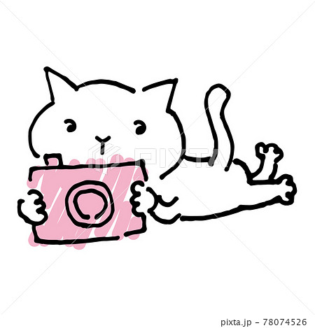 写真撮影する猫カメラマンの手描き風イラスト 78074526