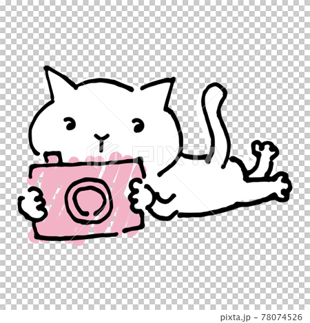 写真撮影する猫カメラマンの手描き風イラスト 78074526