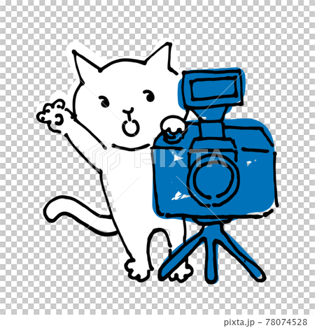 写真撮影する猫カメラマンの手描き風イラスト 78074528