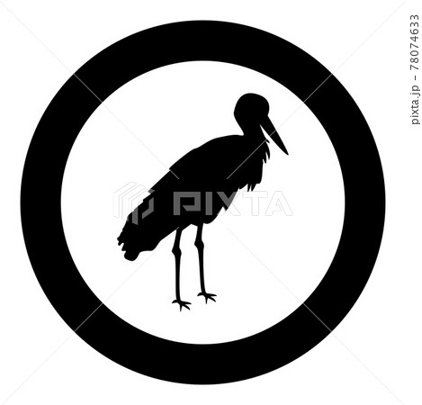 Stork Bird standing Crane Heron silhouette in Stork Bird standing Crane Heron silhouette in 78074633