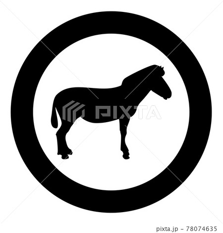 Zebra stand Animal standing silhouette in circle  78074635
