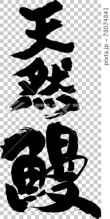 天然うなぎ（18） 78074841