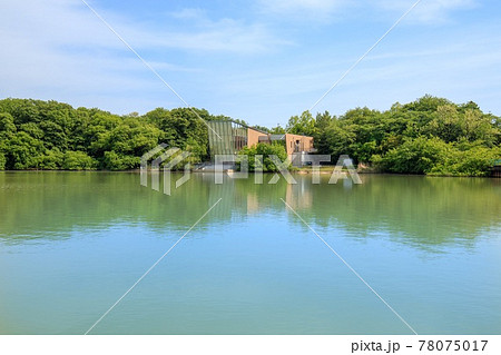 大府市 二ツ池公園の風景 大府市 二ツ池公園の風景 78075017