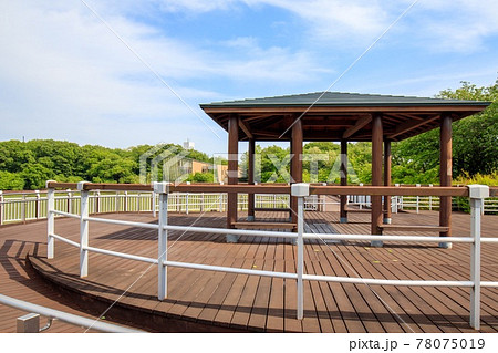 大府市 二ツ池公園の風景 大府市 二ツ池公園の風景 78075019