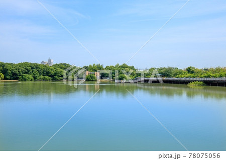 大府市　二ツ池公園の風景 78075056