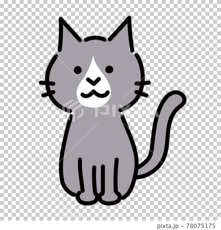 お座りするグレーのハチワレ猫のシンプルイラストのイラスト素材