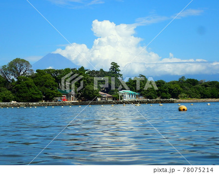 大瀬崎から見る富士山 78075214