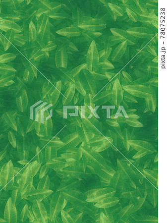 緑の葉っぱ背景素材a4サイズのイラスト素材