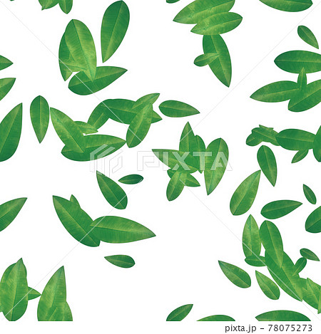 緑の葉っぱ背景素材シームレスのイラスト素材