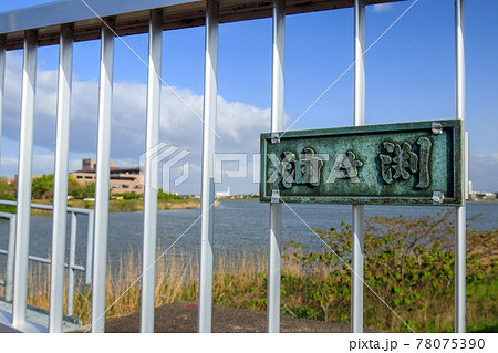 碧南市　油ヶ渕の風景 78075390