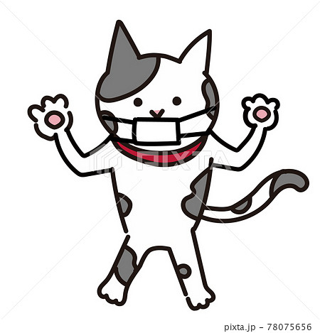マスクをしている猫の全身シンプルイラスト　両手を上げる猫 78075656