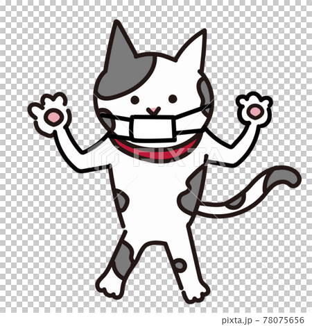 マスクをしている猫の全身シンプルイラスト　両手を上げる猫 78075656
