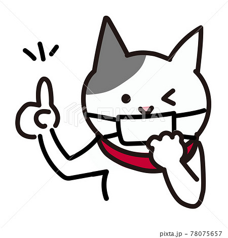マスクをつけている猫 78075657