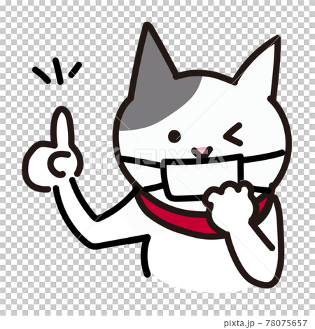 マスクをつけている猫 78075657
