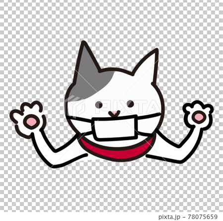 マスクをつけて両手を見せている猫 78075659