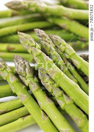 新鮮で美味しい北海道産グリーンアスパラガス 新鮮で美味しい北海道産グリーンアスパラガス 78075832