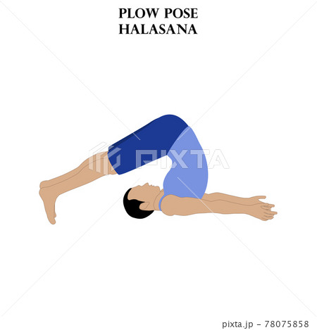 Plow yoga pose halasana elderly woman practicing Vector Image