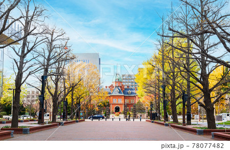 秋の北海道 札幌 北海道庁赤れんが庁舎 秋の北海道 札幌 北海道庁赤れんが庁舎 78077482