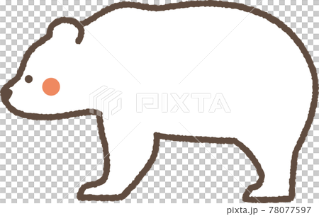 Polar bear cute illustration Polar bear cute illustration 78077597
