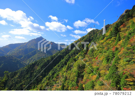 御在所岳の紅葉 御在所岳の紅葉 78079212