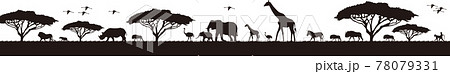 サバンナ 動物たちの大移動 78079331