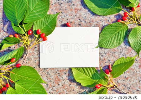 大理石背景にソメイヨシノの桜の葉と実の上に置かれた白紙の長方形のカードのモックアップの写真素材
