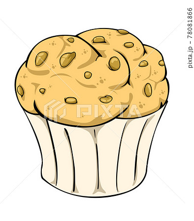 Muffin Cupcake Homemade Bakery Vector And のイラスト素材