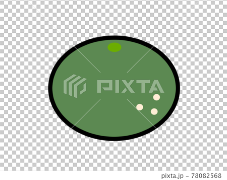 未成熟的橘子插畫素材 78082568