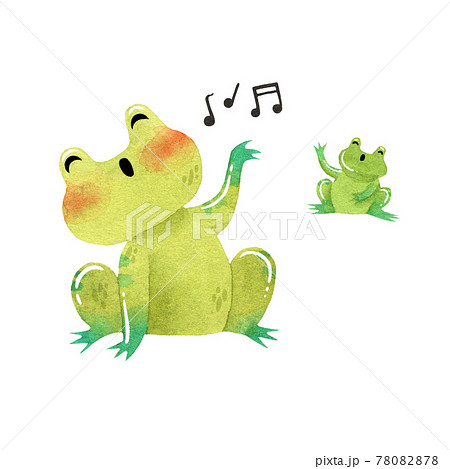 Watercolor funny Toad sings song isolated on... - Stock Illustration  [78082878] - PIXTA
