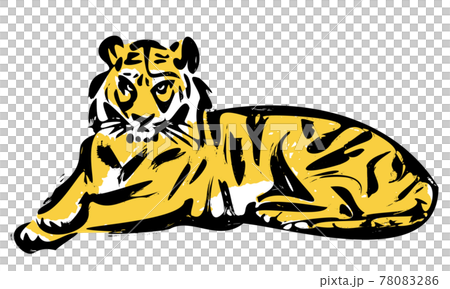 筆で描いたような寅のイラストのイラスト素材