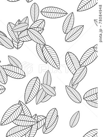 葉っぱの白黒ぬりえのイラスト素材