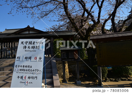 日本の兵庫県の姫路市　世界遺産で国宝でもある姫路城　春の桜と青空と入城口 78085006