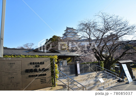 日本の兵庫県の姫路市 世界遺産で国宝でもある姫路城 春の桜と青空と立派な天守閣 入城口の標識と建物 日本の兵庫県の姫路市 世界遺産で国宝でもある姫路城 春の桜と青空と立派な天守閣 入城口の標識と建物 78085037