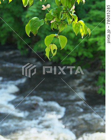 龍門の滝　江川 78085285