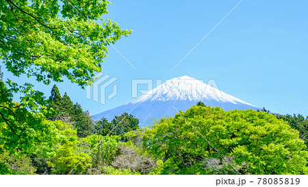 新緑と富士山 78085819