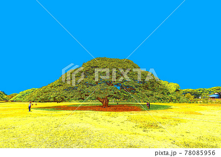 ハワイ (Cloudless version Hawaii Honolulu Waikiki) ハワイ (Cloudless version Hawaii Honolulu Waikiki) 78085956