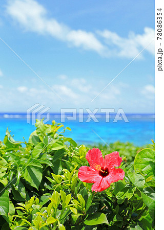 沖縄の美しい海とハイビスカス　 78086354