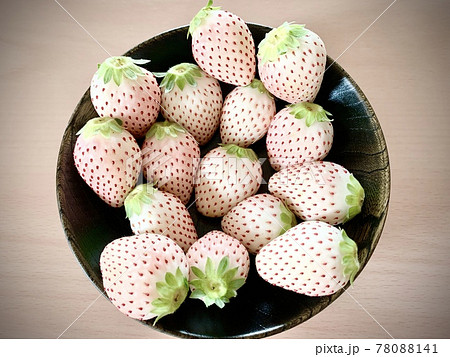 パールホワイト　写真素材 78088141