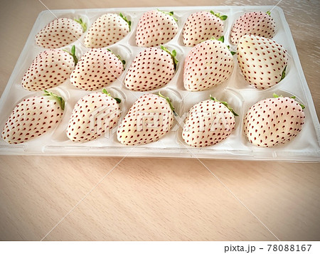 パールホワイト(いちご) 写真素材 パールホワイト(いちご) 写真素材 78088167