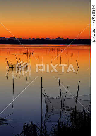印旛沼の夜明け 印旛沼の夜明け 78088264