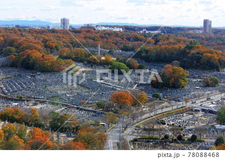 平和公園アクアタワーから平和公園を見る 平和公園アクアタワーから平和公園を見る 78088468
