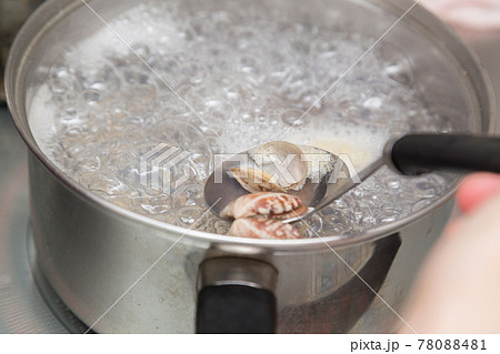 あさりを茹でる手元 あさりを茹でる手元 78088481