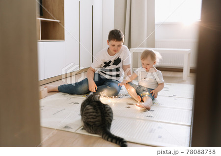 Kids playing with a cat at home. Brother and little sister having fun together Kids playing with a cat at home. Brother and little sister having fun together 78088738