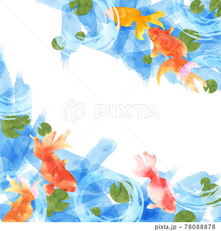 金魚の手描き水彩画のイラスト素材