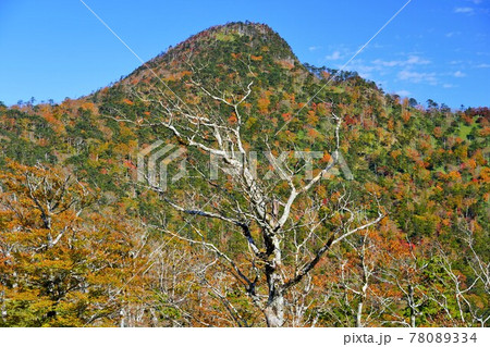 釈迦ヶ岳山頂の紅葉 78089334