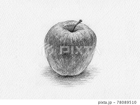 鉛筆デッサン スケッチ 静物 絵 イラスト リンゴのイラスト素材