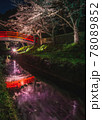 太鼓橋と花筏の美しい流れ 78089852